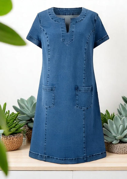 Ivy | Barrel Denim Dress